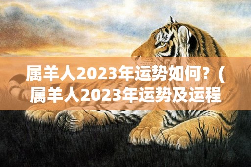 属羊人2023年运势如何？(属羊人2023年运势及运程每月运程)