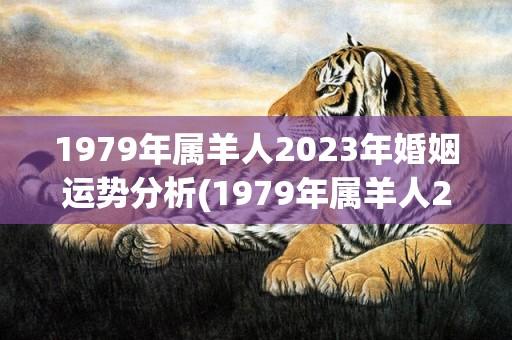 1979年属羊人2023年婚姻运势分析(1979年属羊人2023年下半年运势)