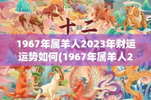 1967年属羊人2023年财运运势如何(1967年属羊人2023年全年运势详解)