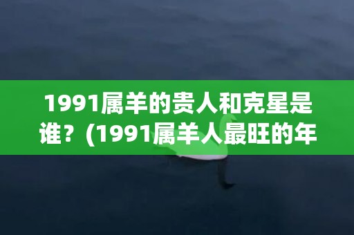 1991属羊的贵人和克星是谁？(1991属羊人最旺的年龄)