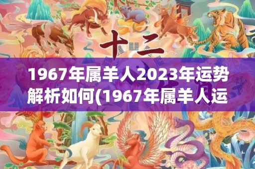 1967年属羊人2023年运势解析如何(1967年属羊人运势)