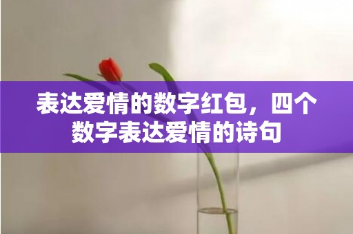 表达爱情的数字红包，四个数字表达爱情的诗句