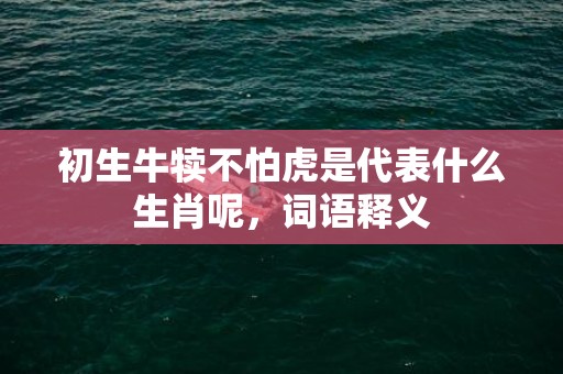 初生牛犊不怕虎是代表什么生肖呢，词语释义