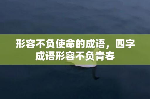 形容不负使命的成语，四字成语形容不负青春