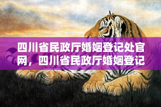 四川省民政厅婚姻登记处官网，四川省民政厅婚姻登记