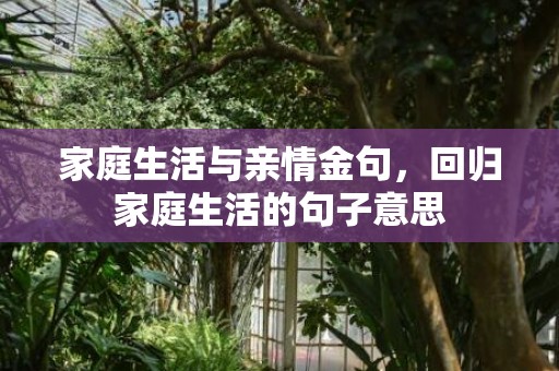 家庭生活与亲情金句，回归家庭生活的句子意思