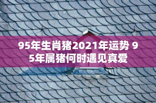 95年生肖猪2021年运势 95年属猪何时遇见真爱