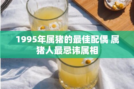 1995年属猪的最佳配偶 属猪人最忌讳属相