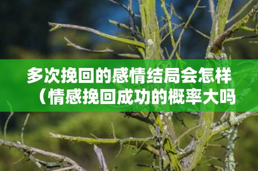 多次挽回的感情结局会怎样（情感挽回成功的概率大吗）