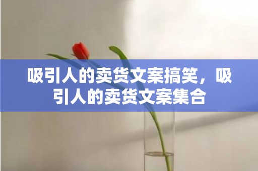 吸引人的卖货文案搞笑，吸引人的卖货文案集合