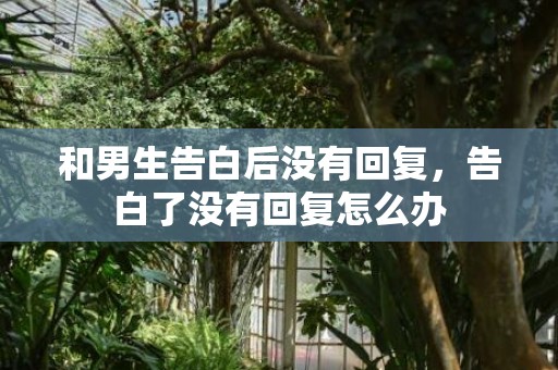 和男生告白后没有回复，告白了没有回复怎么办