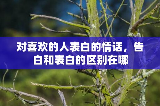 对喜欢的人表白的情话，告白和表白的区别在哪