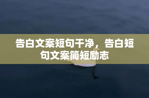 告白文案短句干净，告白短句文案简短励志