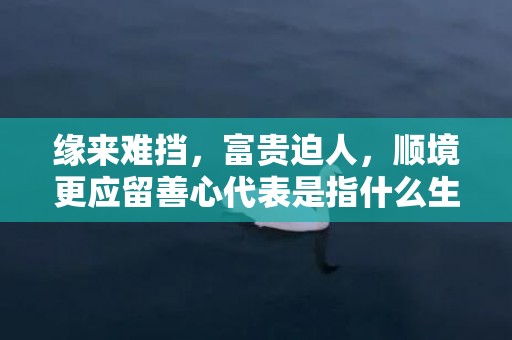 缘来难挡，富贵迫人，顺境更应留善心代表是指什么生肖，词典精准落实