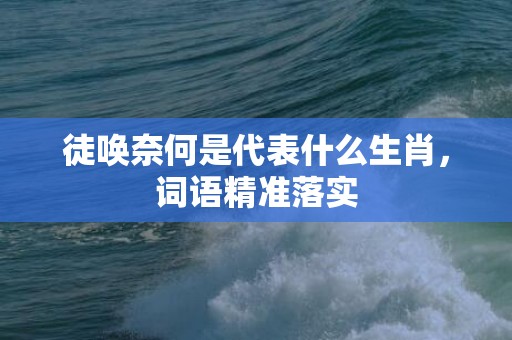 徒唤奈何是代表什么生肖，词语精准落实