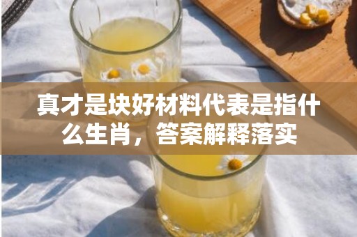 真才是块好材料代表是指什么生肖，答案解释落实