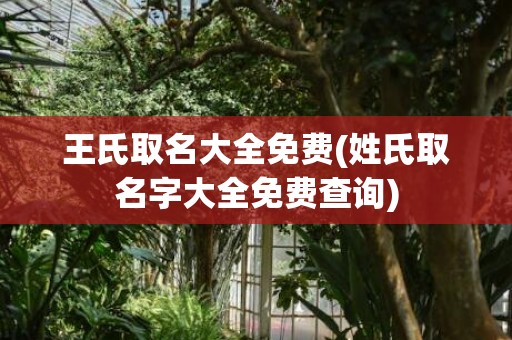 王氏取名大全免费(姓氏取名字大全免费查询)