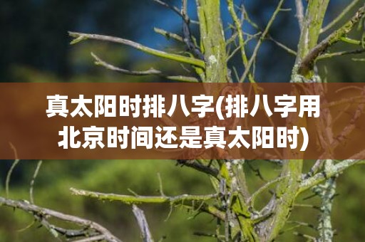 真太阳时排八字(排八字用北京时间还是真太阳时)