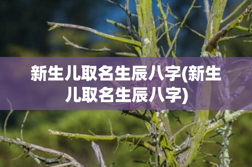 新生儿取名生辰八字(新生儿取名生辰八字)