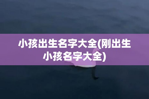 小孩出生名字大全(刚出生小孩名字大全)