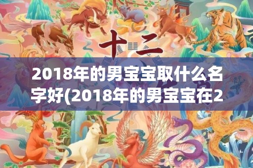 2018年的男宝宝取什么名字好(2018年的男宝宝在2034年的命运好不)