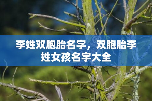 李姓双胞胎名字，双胞胎李姓女孩名字大全