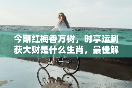 今期红梅香万树，时享运到获大财是什么生肖，最佳解答落实