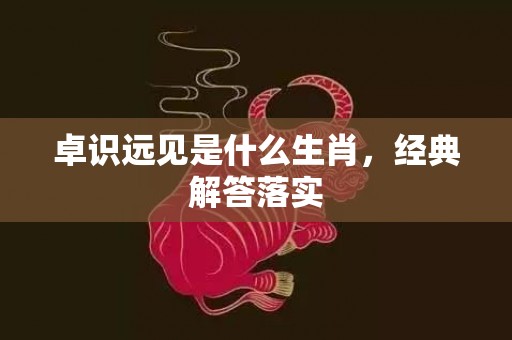 卓识远见是什么生肖，经典解答落实