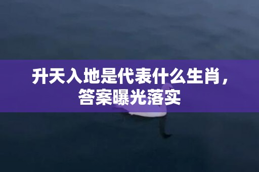 升天入地是代表什么生肖，答案曝光落实