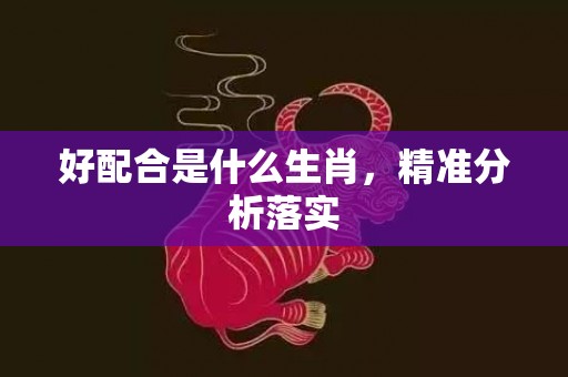 好配合是什么生肖，精准分析落实