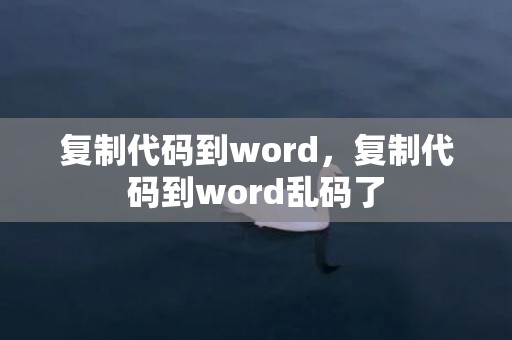 复制代码到word，复制代码到word乱码了