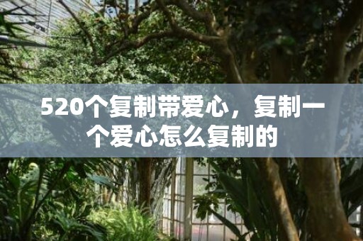 520个复制带爱心，复制一个爱心怎么复制的