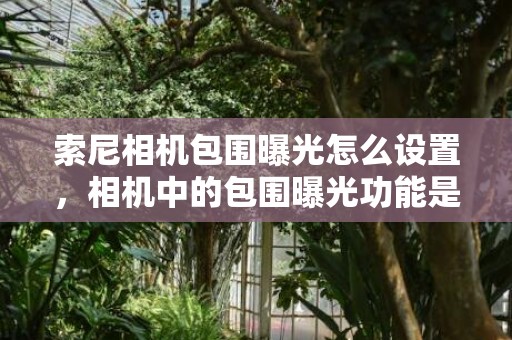 索尼相机包围曝光怎么设置，相机中的包围曝光功能是什么，你知道怎么用吗？