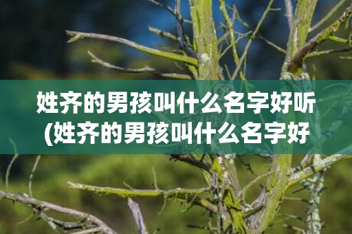 姓齐的男孩叫什么名字好听(姓齐的男孩叫什么名字好听齐字的成语)