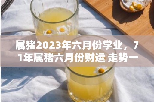 属猪2023年六月份学业，71年属猪六月份财运 走势一路走高