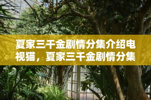 夏家三千金剧情分集介绍电视猫，夏家三千金剧情分集饿绍