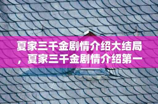 夏家三千金剧情介绍大结局，夏家三千金剧情介绍第一季