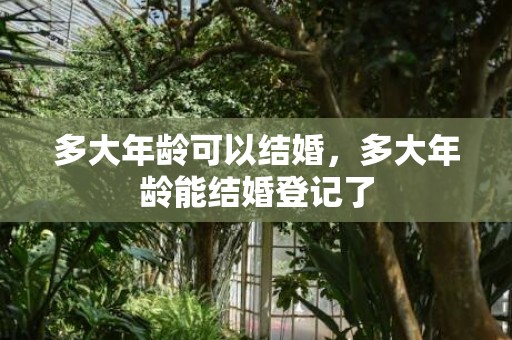 多大年龄可以结婚，多大年龄能结婚登记了