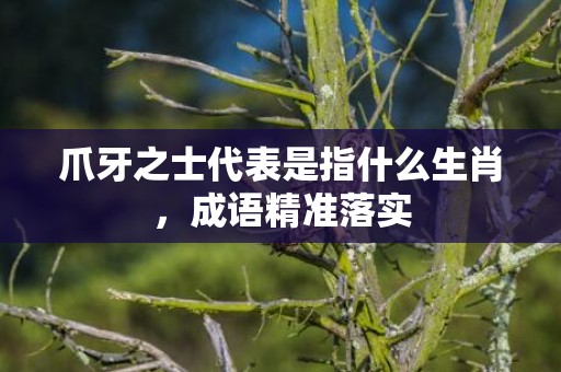 爪牙之士代表是指什么生肖，成语精准落实