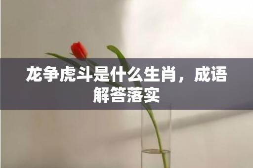 龙争虎斗是什么生肖，成语解答落实