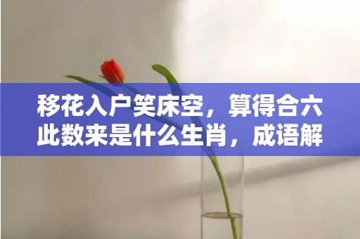 移花入户笑床空，算得合六此数来是什么生肖，成语解答落实