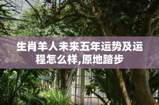 生肖羊人未来五年运势及运程怎么样,原地踏步