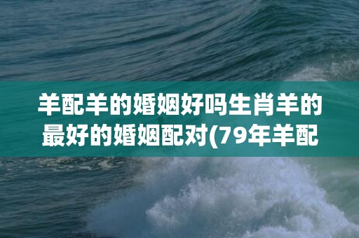 羊配羊的婚姻好吗生肖羊的最好的婚姻配对(79年羊配羊的婚姻好不好)