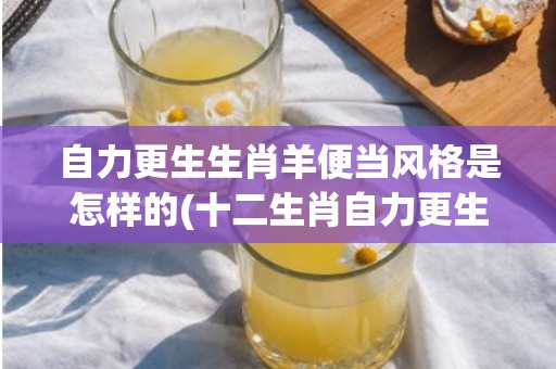 自力更生生肖羊便当风格是怎样的(十二生肖自力更生是什么生肖)