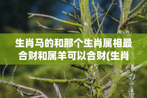 生肖马的和那个生肖属相最合财和属羊可以合财(生肖马和羊婚配如何)