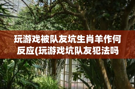 玩游戏被队友坑生肖羊作何反应(玩游戏坑队友犯法吗)