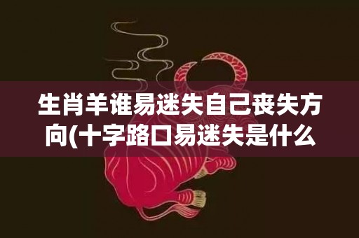 生肖羊谁易迷失自己丧失方向(十字路口易迷失是什么生肖)