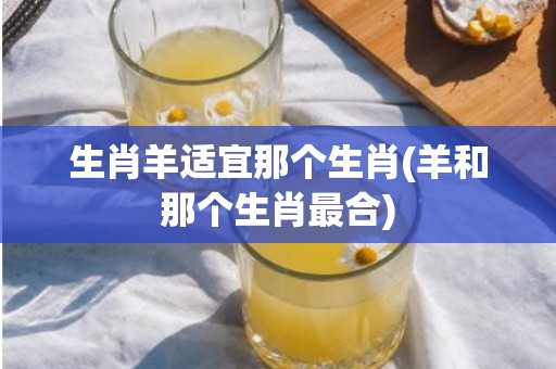 生肖羊适宜那个生肖(羊和那个生肖最合)