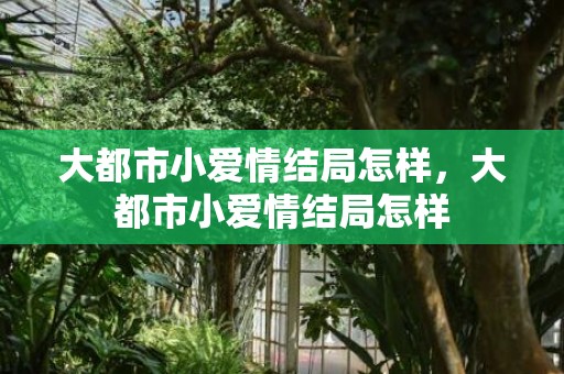 大都市小爱情结局怎样，大都市小爱情结局怎样