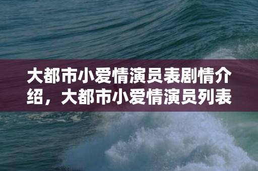 大都市小爱情演员表剧情介绍，大都市小爱情演员列表